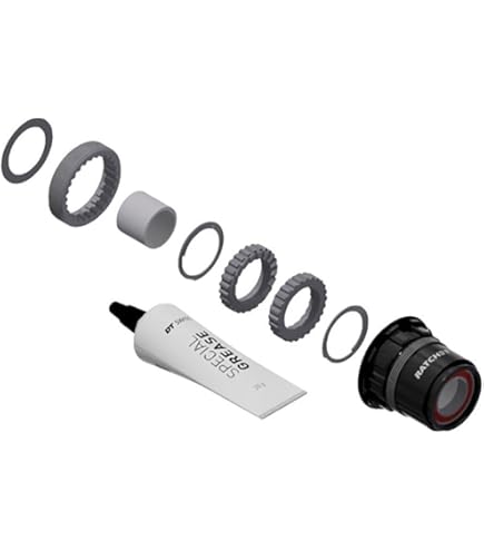 Amazon.com : DT Swiss Ratchet EXP Freehub Body - SRAM XDR